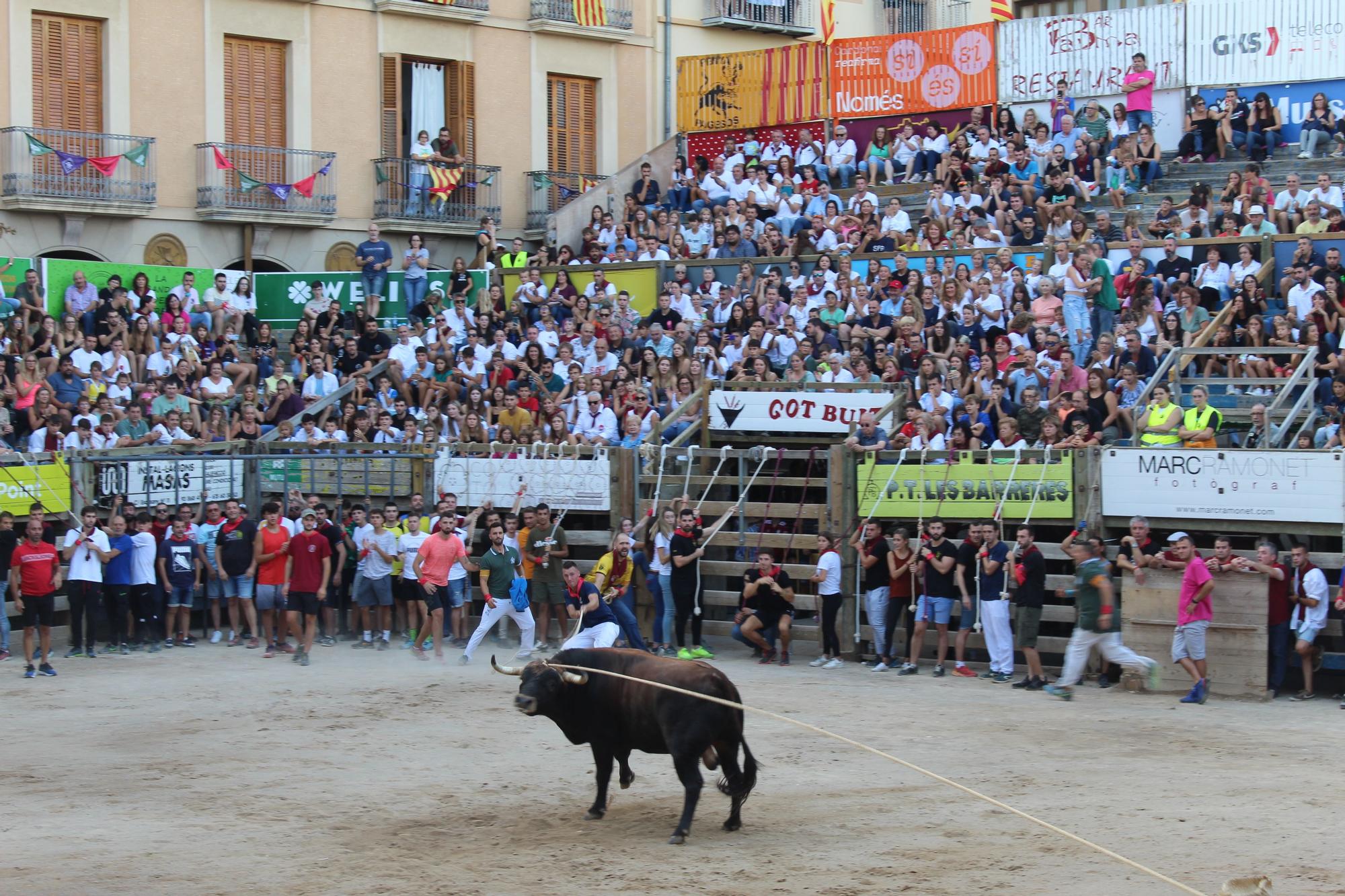 Correu bou