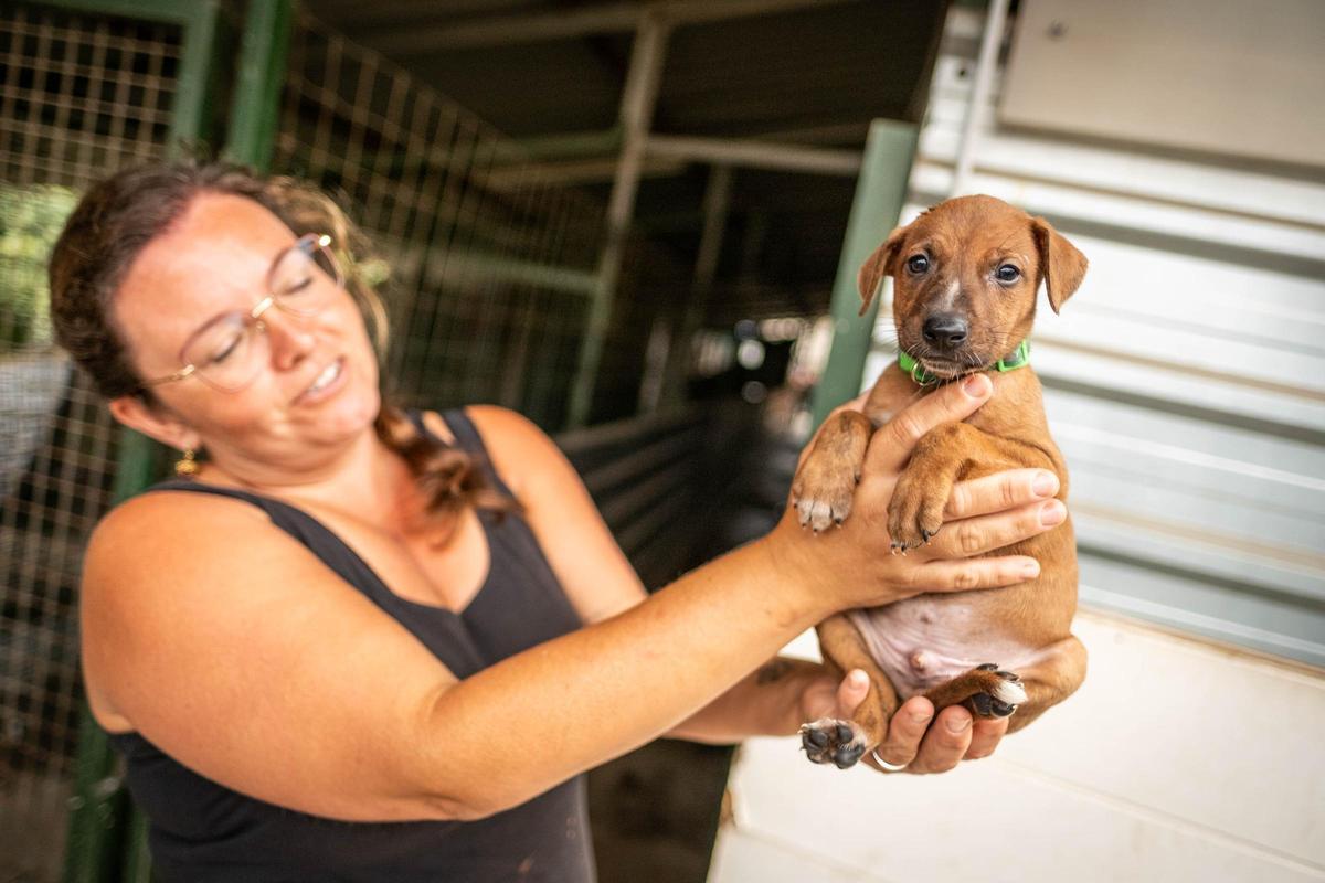 Noemi García muestra a uno de los cachorros del refugio.