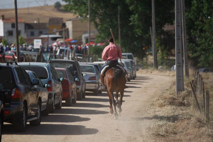 Encierro de campo en Guarrate