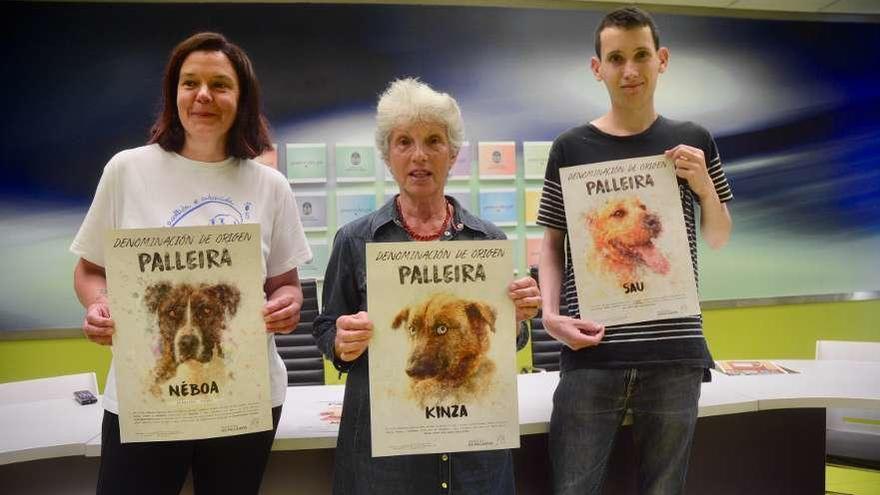 Gloria Cubas, Pilar Comesaña y Daniel Alonso presentaron ayer la campaña. // R. Vázquez