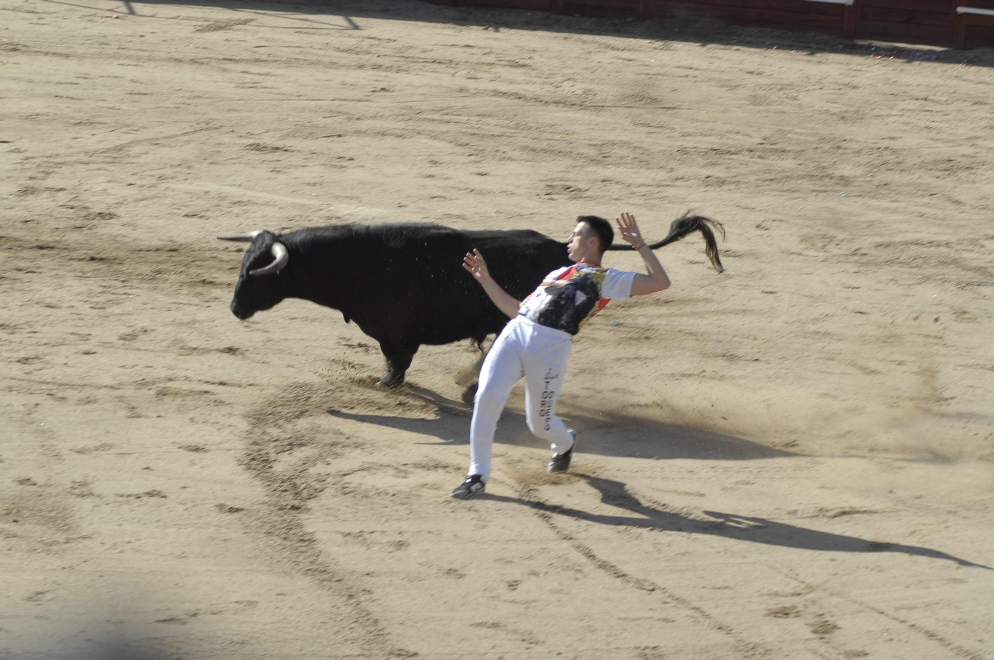 GALERÍA | Unos cuantos cortes de los arriesgados en Benavente