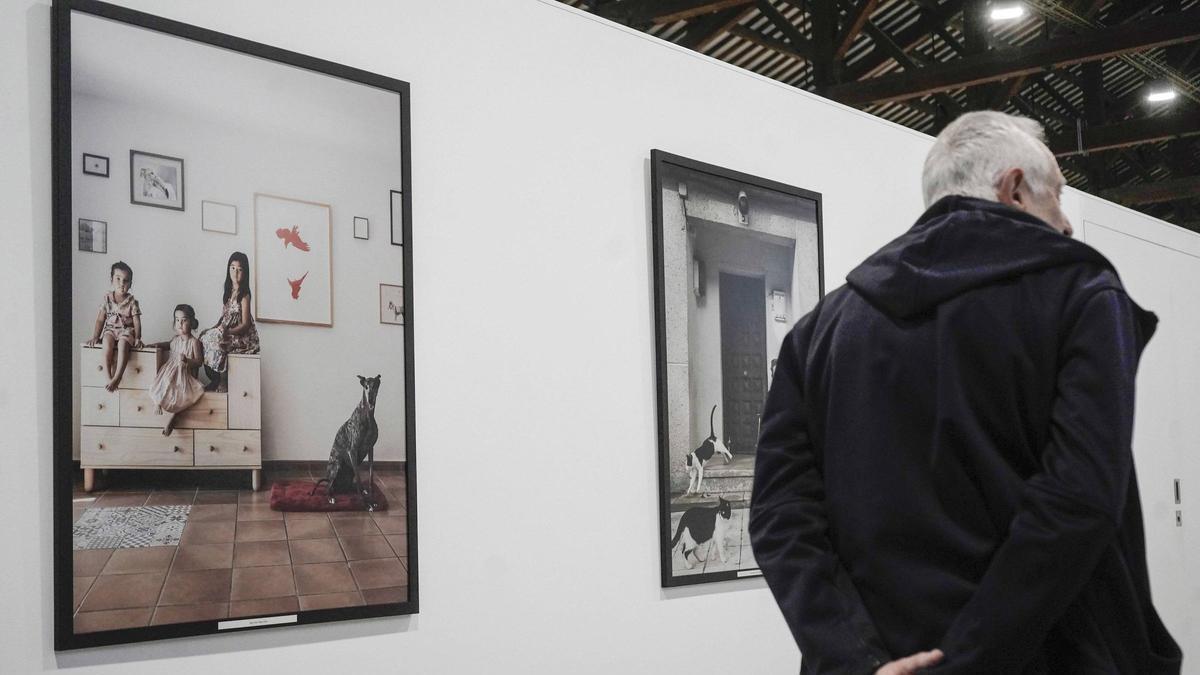 Les fotografies d'Estela de Castro es poden veure a Cal Boyer