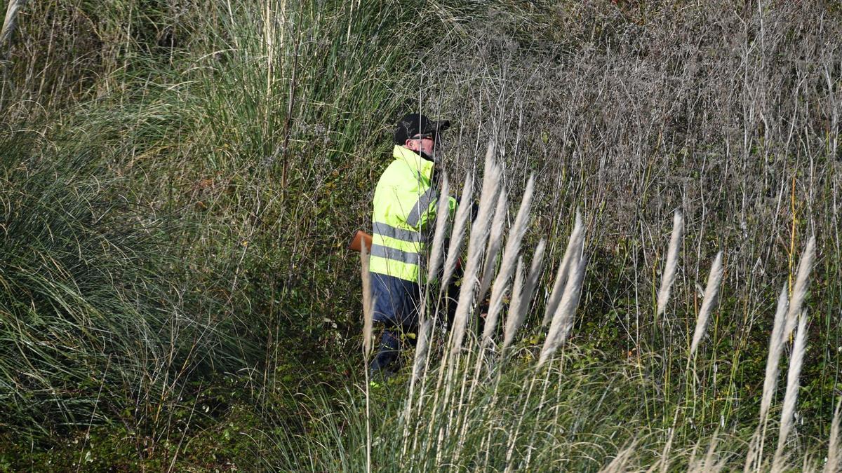Dispositivo de caza del jabalí en el aeropuerto de Alvedro