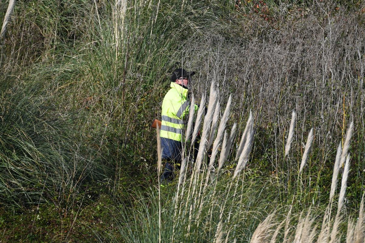 Dispositivo de caza del jabalí en el aeropuerto de Alvedro