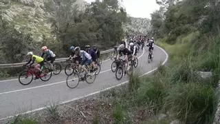 El pelotón de 8.500 ciclistas de la Mallorca 312 OK Mobility conquista la isla