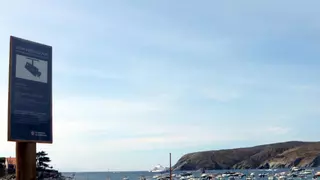 Dos cámaras con IA vigilan la nueva zona protegida del Cap de Creus: ni motos acuáticas ni fiestas en barco
