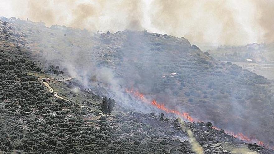 La mitad de los investigados por incendios forestales, en Castellón