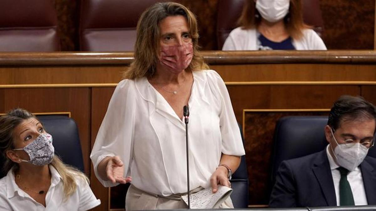 Teresa Ribera interviene en el Congreso.