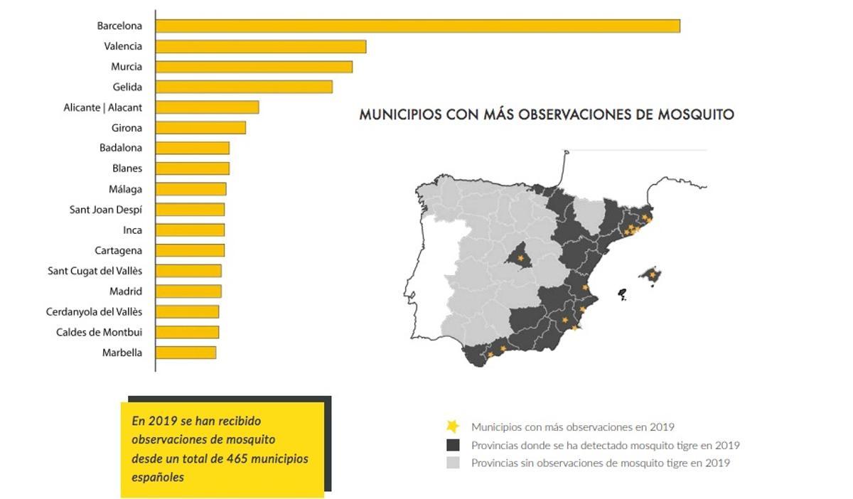 Perfeccionan la app que permite identificar el ‘mosquito tigre’