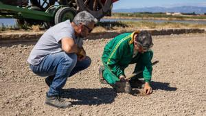 Ajudes al camp: agricultors i ramaders consideren «insuficients» les mesures anunciades pel Govern