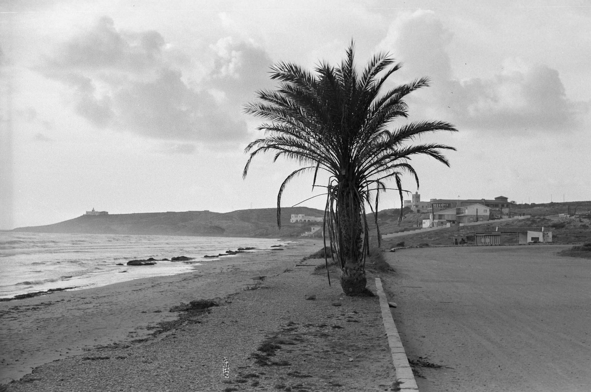006-Playa de San Juan 1955. Foto Sánchez. AMA.jpg