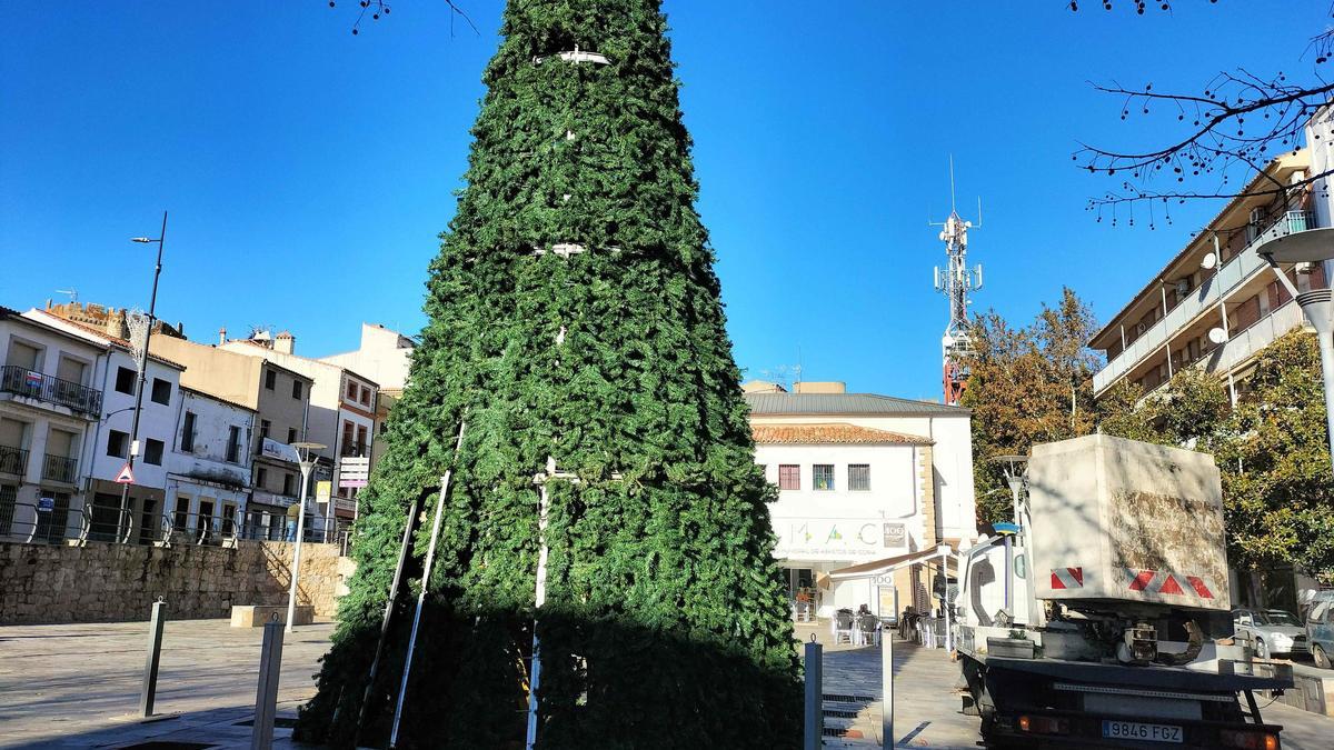 La plaza de la Paz cuenta con un gran árbol de Navidad