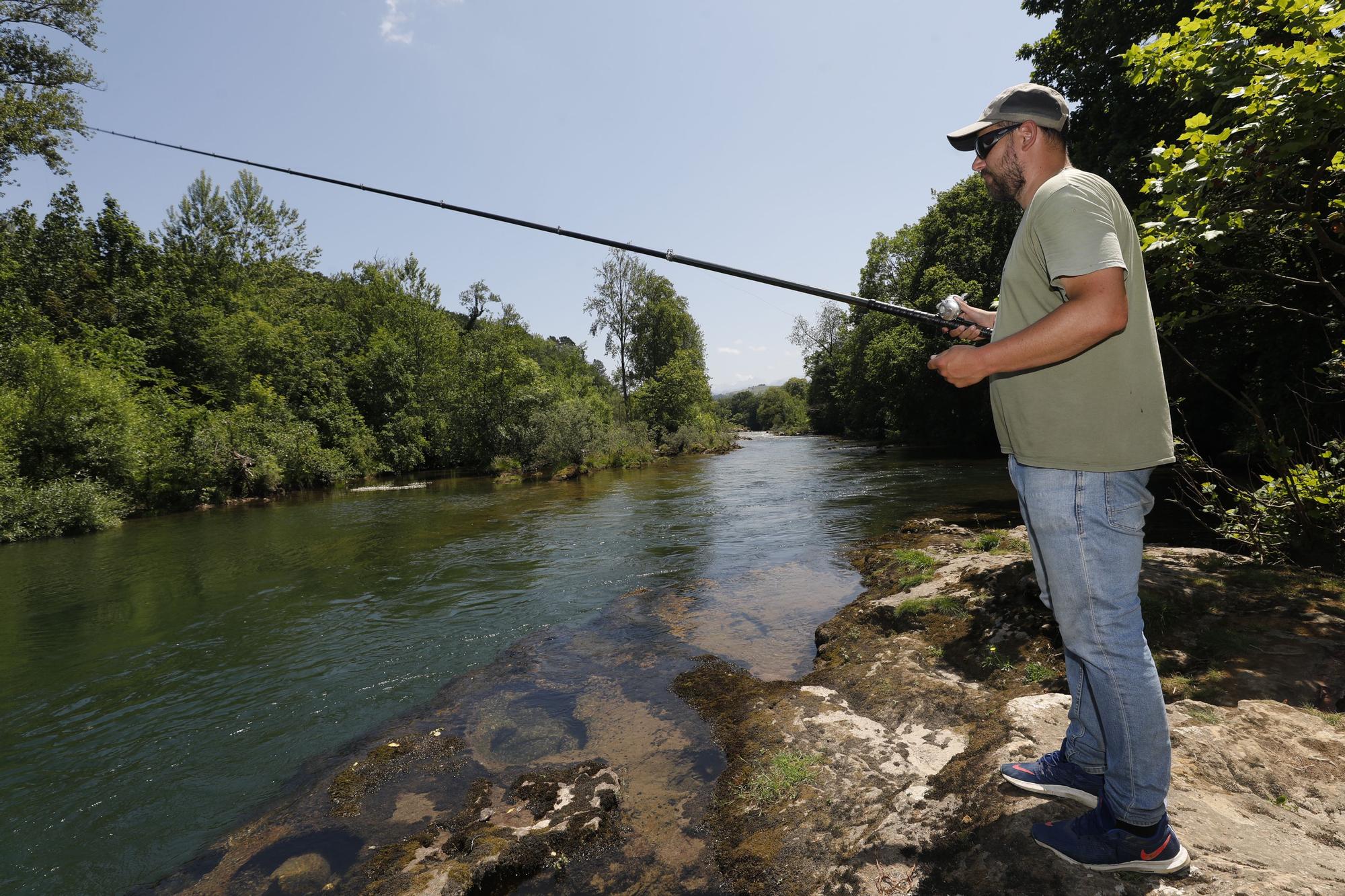 Temporada del salmón en Asturias: último día de pesca con cebo