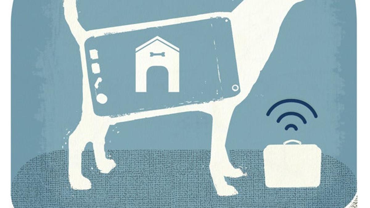 Las mejores apps para viajar con mascotas