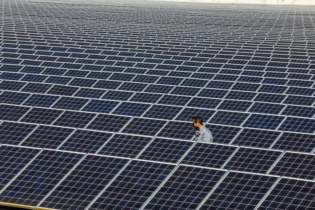 Planta fotovoltaica de la Cooperativa de Crevillent en Elche