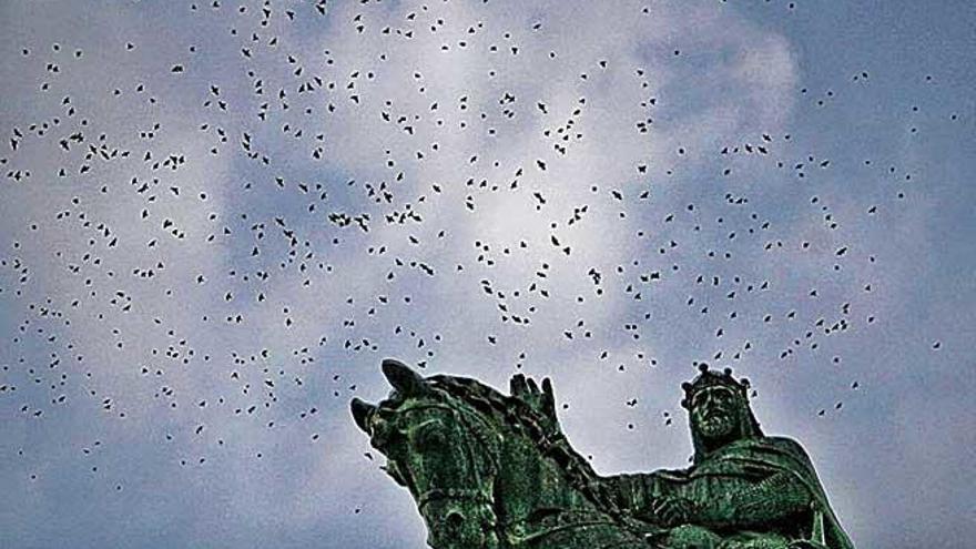 Una bandada de estorninos en la estatua del rey En Jaume.