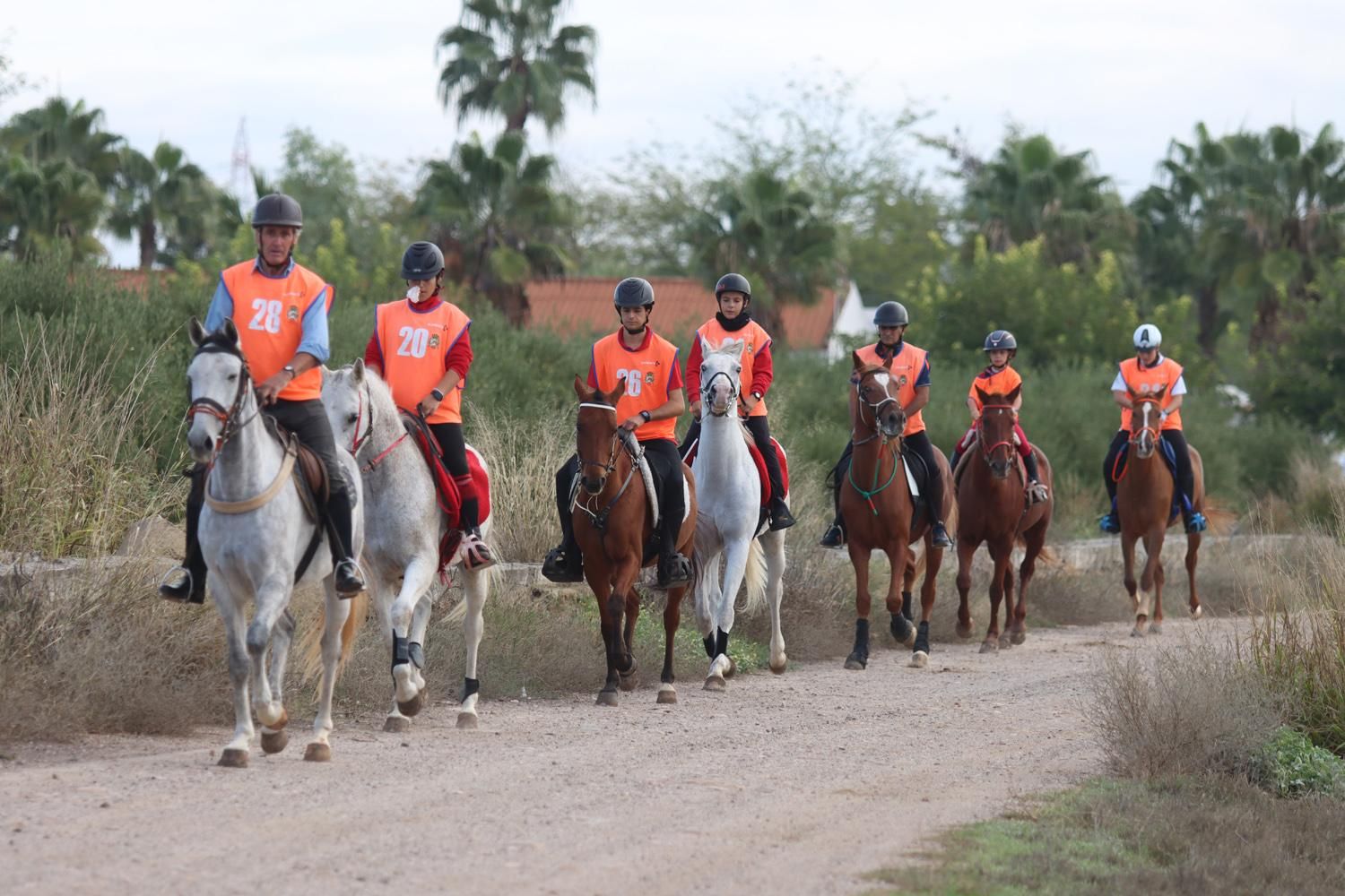 El Raid Hípico El Cañuelo, en imágenes