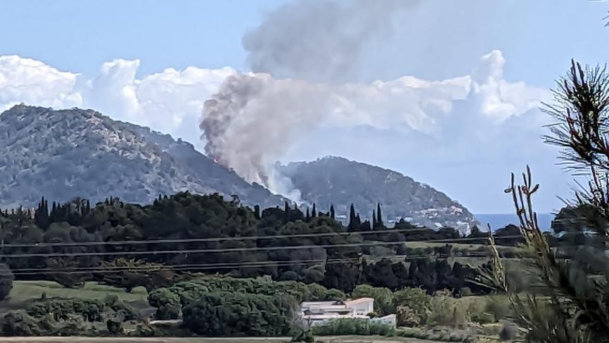 Un incendio forestal obliga a desalojar varios chalés de Costa de los Pinos