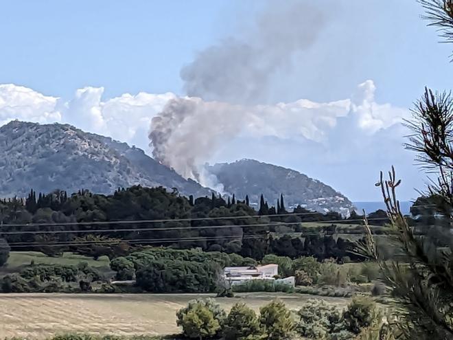 Un incendio forestal obliga a desalojar varios chalés de Costa de los Pinos