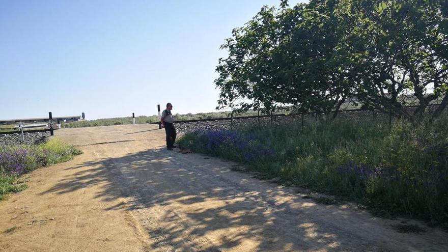 El ciclista arrollado en Zafra era militar destinado en el Cefot de Cáceres