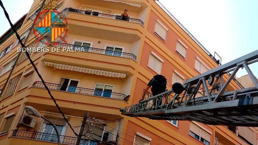 Rescatan a un perro atrapado en la barandilla de un tercer piso en Palma