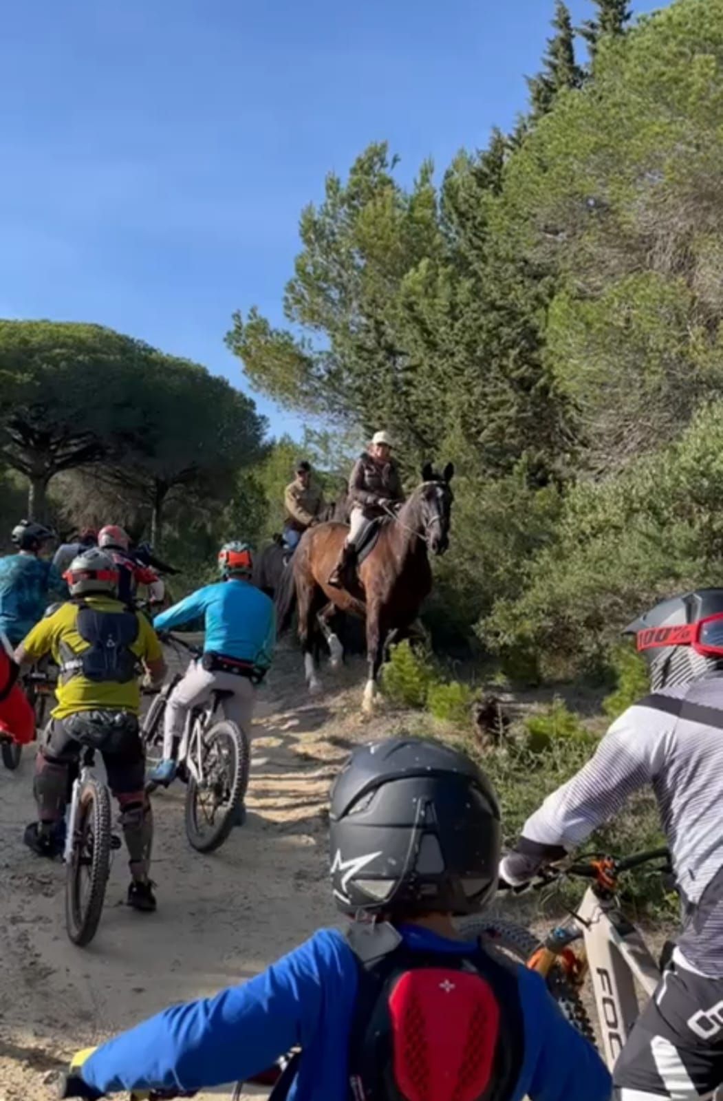 Ciclistas y caballos en la misma senda en un espacio natural.