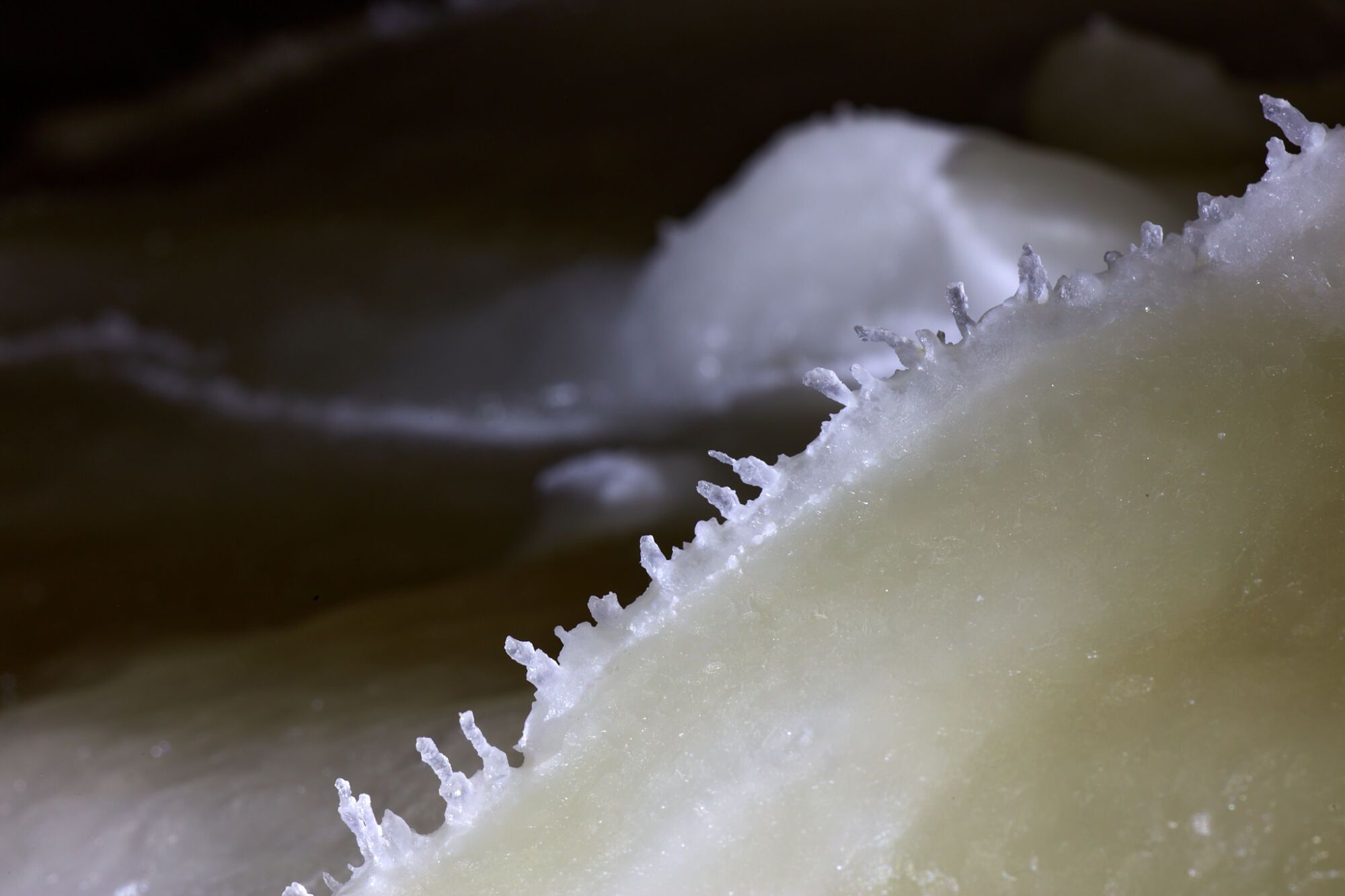 Cueva de las Estegamitas, en Málaga capital, única en el mundo por su configuración y declarada Monumento Natural