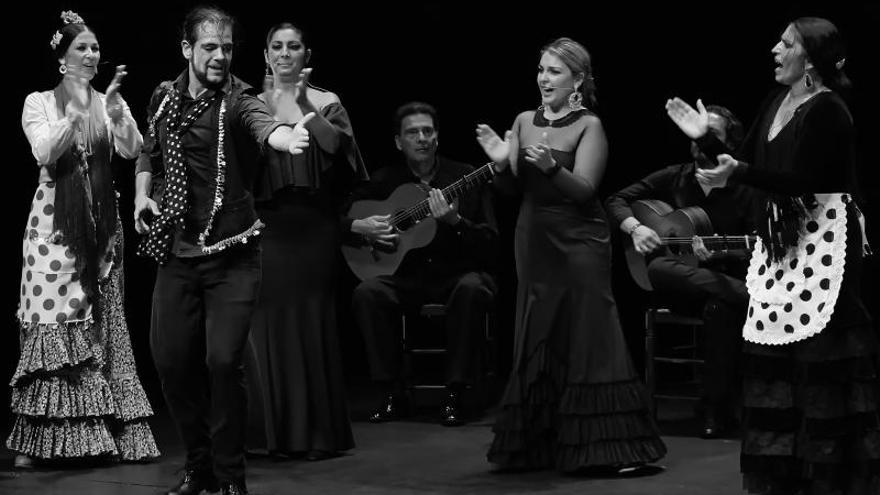 Exposición Flamenco en negro