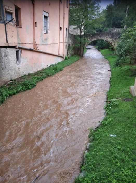 El Galligants al seu pas per la ciutat de Girona