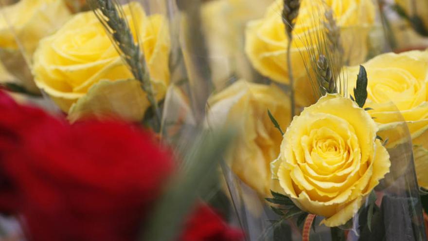 Els floristes confirmen que la venda de roses se situa entorn als set milions