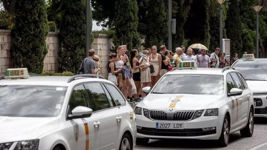 So einfach kann man in den meisten Mallorca-Gemeinden jetzt ein Taxi per WhatsApp bestellen