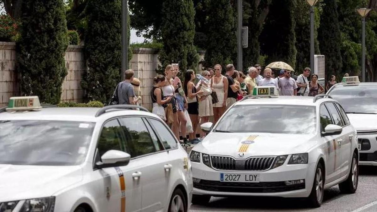 Taxis auf Mallorca können in den meisten Gemeinden mittlerweile ganz einfach per WhatsApp angefordert werden
