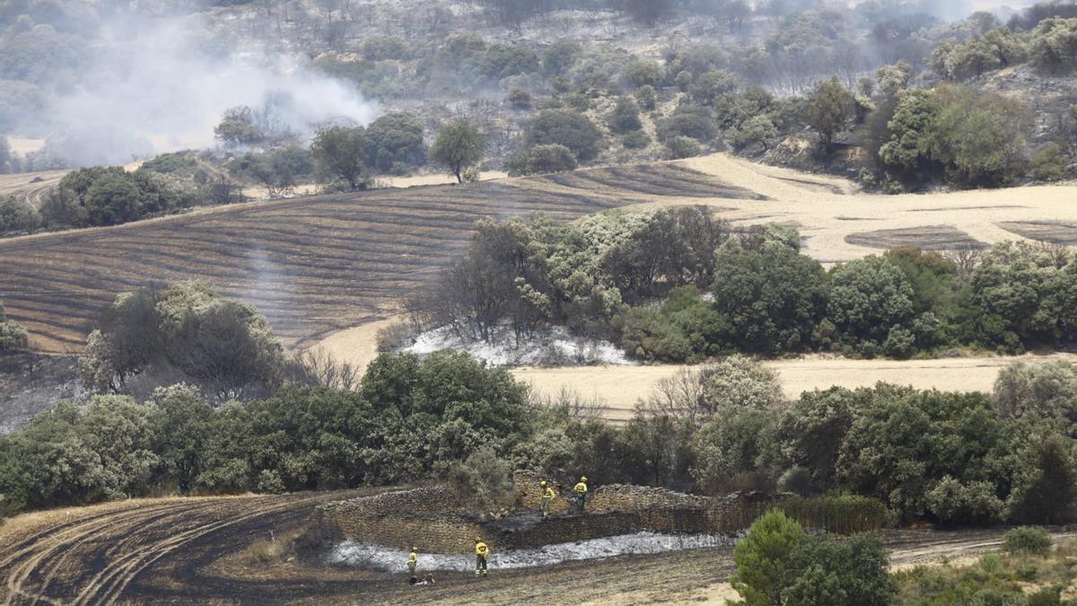 Alerta por un incendio forestal en Cinco Villas