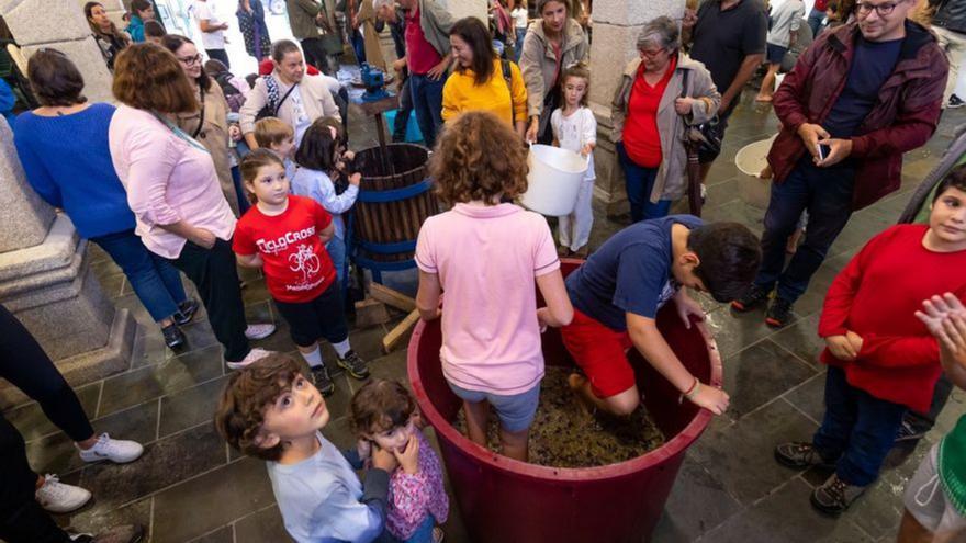 Los niños de Betanzos conocen la vendimia