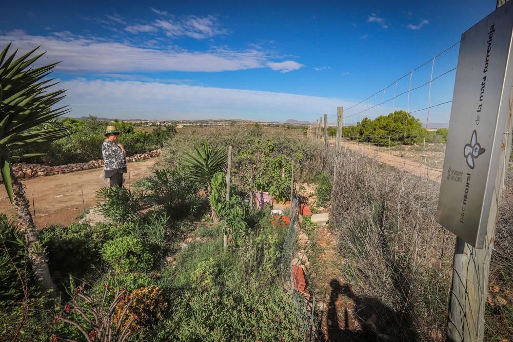 Los residentes mantienen una superficie de unos quinientos metros cuadrados en suelo protegido junto al parque natural. Ninguna de las cinco zonas verdes previstas en el planeamiento de la urbanizació