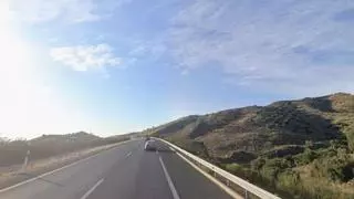 Un coche colisiona con dos jabalíes en la A-7 en Málaga capital