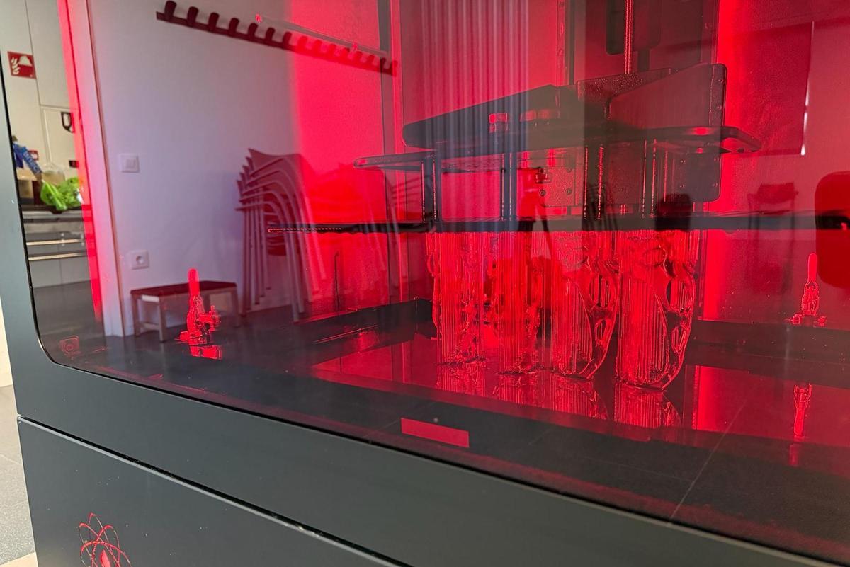 Les imatges de l'estudi de les fèrules impreses en 3D