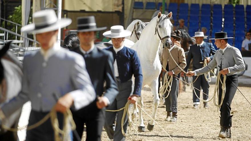 Los ganaderos comercializarán sus ejemplares en Caballerizas