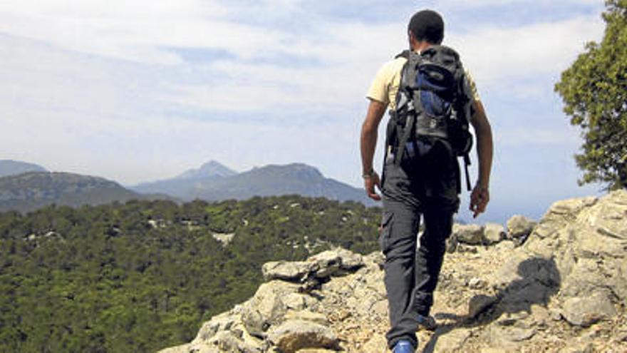 Gute Aussichten für die Serra: ein Wanderer im Berg-Schutzgebiet „Muntanya del Voltor&quot; über Valldemossa.
