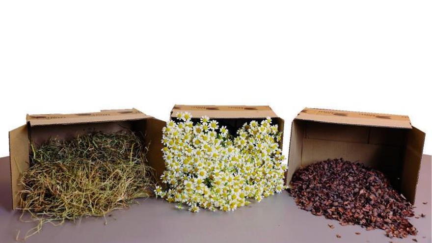 Plantas y flores: los nuevos materiales para  envases alimentarios