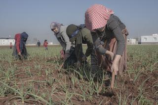 Una nueva Siria en el sur de Turquía