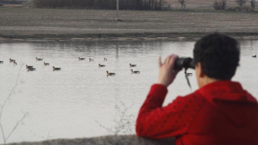 Una turista en las Lagunas de Villafáfila.