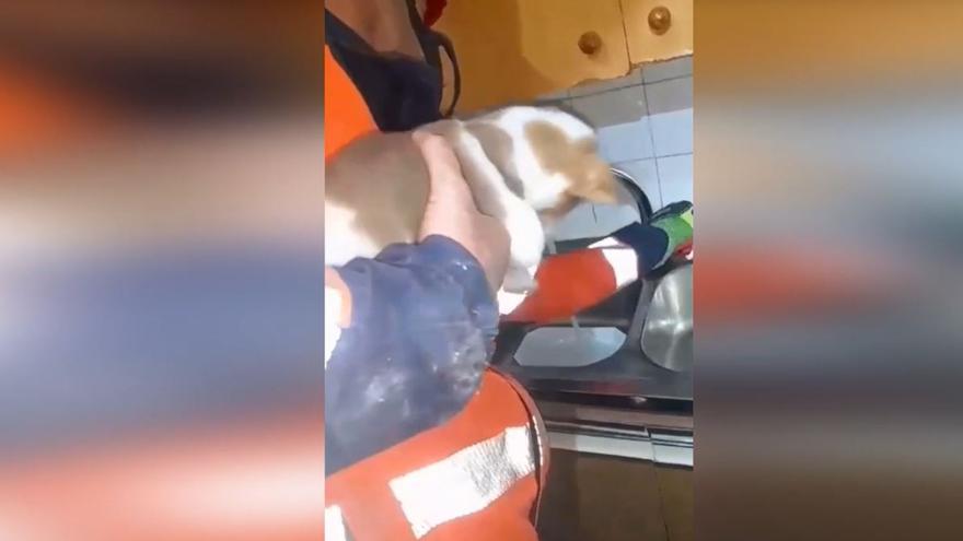 Rescatan a un perro que llevaba tres días atrapado en Vélez