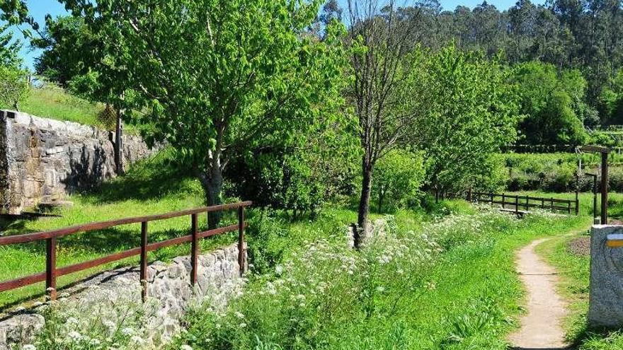 Parque de Os Pasales por el que discurre. // Iñaki Abella