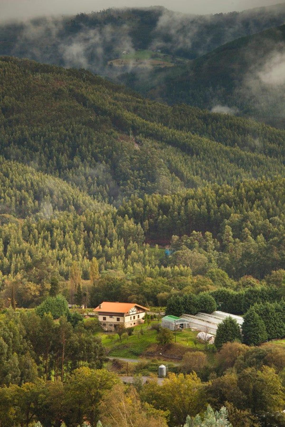 Paisaje montañoso en Vizcaya.