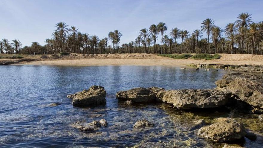 Paraje de Ferrís en Torrevieja antes de la construcción del muro