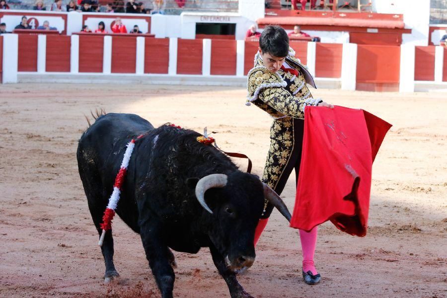 Tarde de toros en Zamora