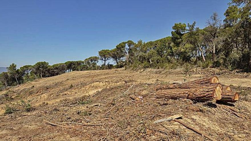 Les obres aturades de la prolongació de la C-32.