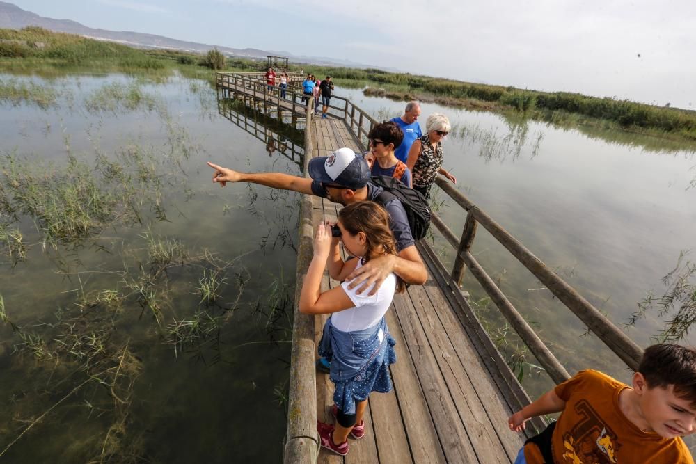 La UMH organiza una visita a El Hondo