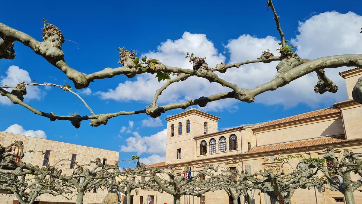 Sede de la Diputación de Zamora